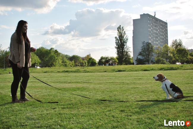 Grupowy kurs posłuszeństwa - Dobrzykowice