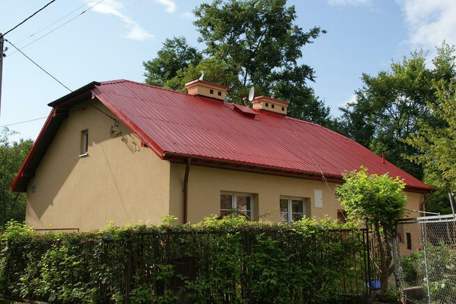 Natryskowe malowanie dachów