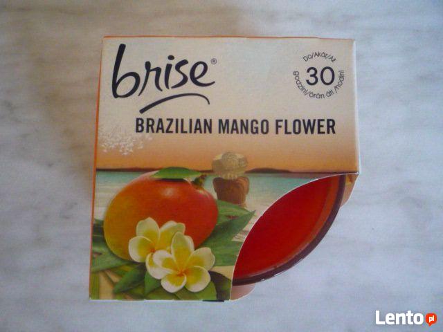 Nowa Brise Swieczka zapachowa aromatyczna Brazylijskie mango