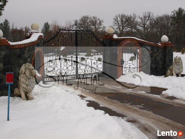Bramy,ogrodzenia,balustrady,schody,zadaszenia od Styl-Metal