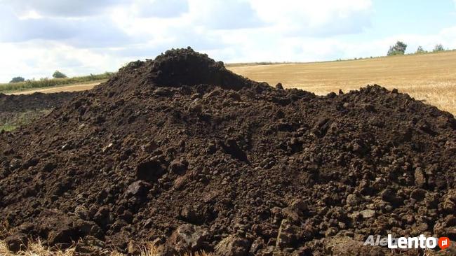 zwir piasek ziemia ogrodową zwirownia główczyce wicko