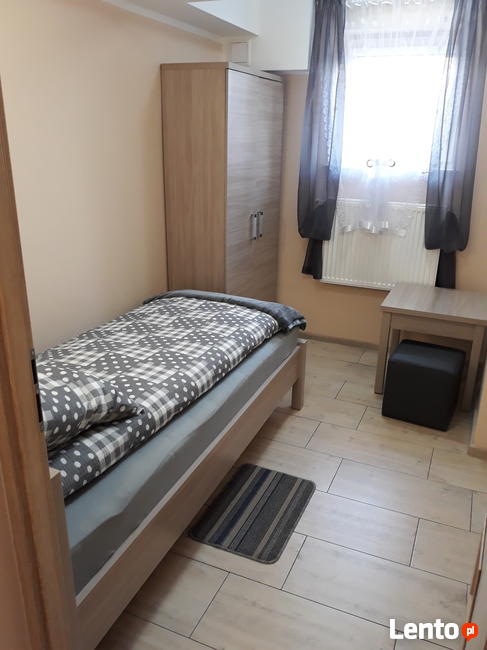 Pokoje do wynajęcia Chojnów, Krzywa, Okmiany