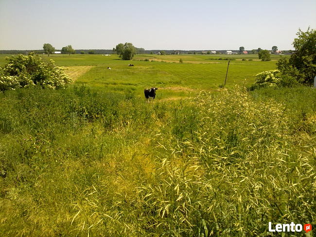 Dom wolnostojący w małej wsi, blisko jeziora >>> SIEDLISKO