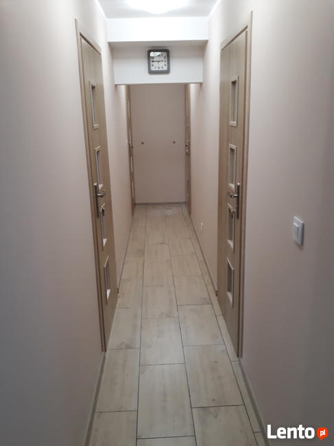 Pokoje do wynajęcia Chojnów, Krzywa, Okmiany