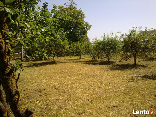 Dom wolnostojący w małej wsi, blisko jeziora >>> SIEDLISKO