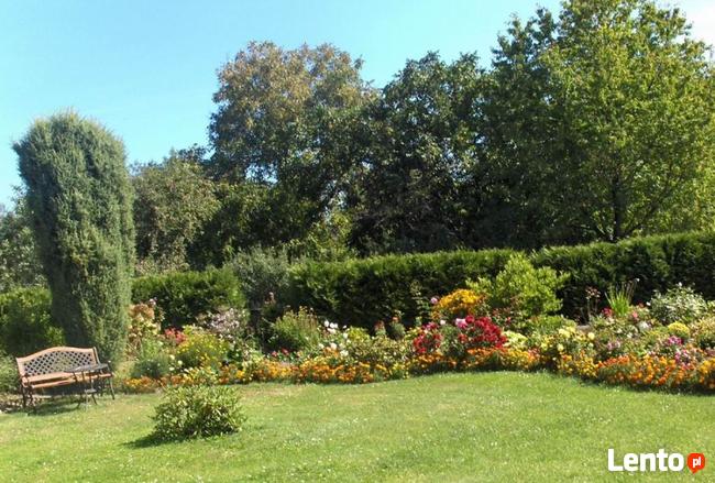 Usługi Ogrodnicze przygotowanie ogrodu do zimy