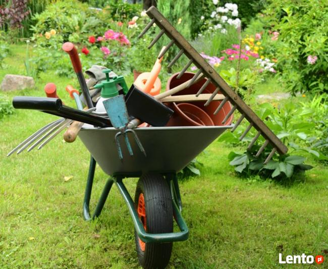 Usługi Ogrodnicze przygotowanie ogrodu do zimy