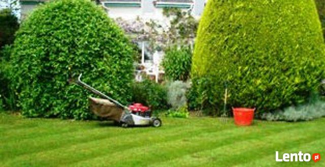 Usługi Ogrodnicze przygotowanie ogrodu do zimy