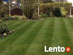 Usługi OGRODNICZE odnawianie ogrodu Nawodnienie