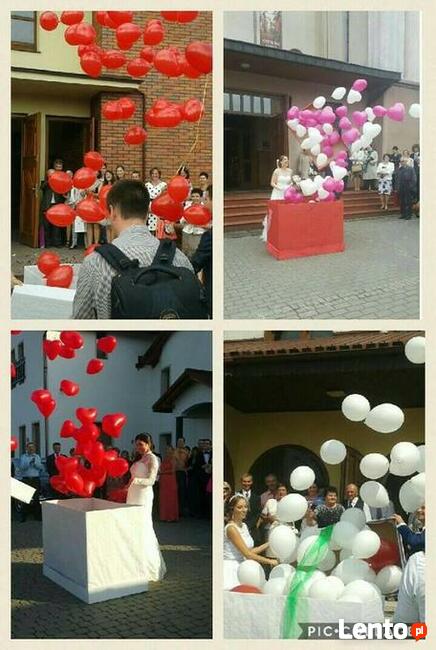 Balony LED na wesele - najniższe ceny na Śląsku PEŁEN LEGAL!