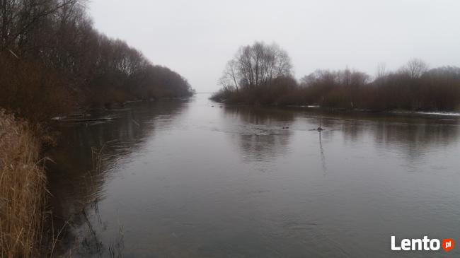 Działka rekreacyjna Tomisławice nad jeziorem 50m od zalewu