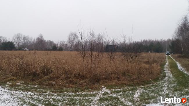 Działka rekreacyjna Tomisławice nad jeziorem 50m od zalewu