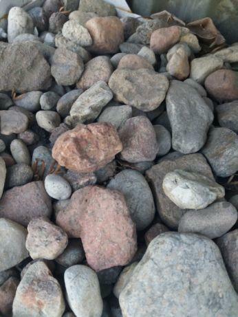 Kamień żwirowy Otoczak frakcja 16-32 mm