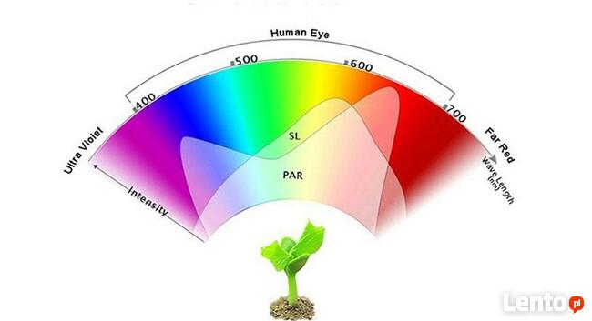 ŚWIATŁO DO UPRAWY ROŚLIN 50W
