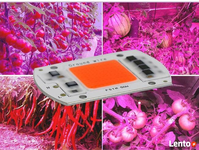 ŚWIATŁO DO UPRAWY ROŚLIN 50W