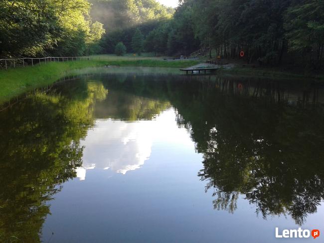 Leśniczówka - domek jeziorka sauna balia 2ha WYŁĄCZNOŚĆ !