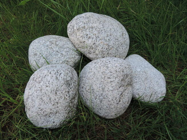 Kamień ogrodowy szary otoczak Granitowy do ogrodu Kamyczek