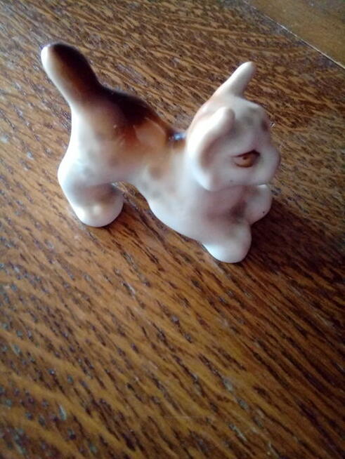 Porcelanowy kotek sygnowany