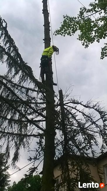 GARDENUS Usługi Ogrodnicze