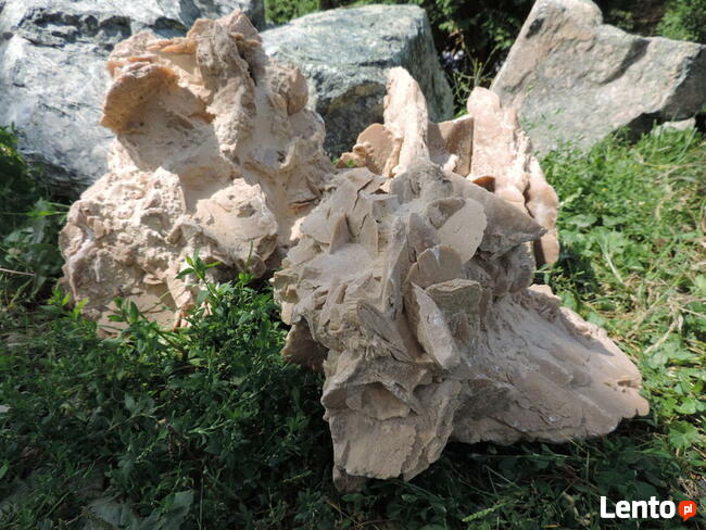 Kamień ozdobny Róża Pustyni bryła skałka kamień do ogrodu