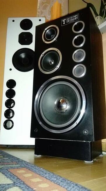 Naprawa głośników i regeneracja kolumn głośnikowych