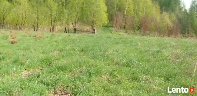 Sprzedam działkę 26 ar.