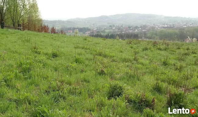 Sprzedam działkę 26 ar.