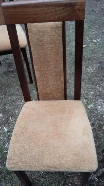 Pranie, czyszczenie tapicerki meblowej, wykładzin, dywanów