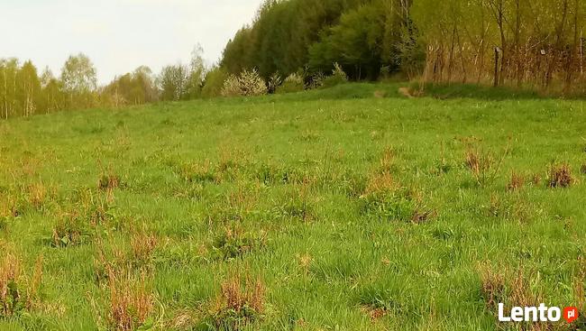 Sprzedam działkę 26 ar.