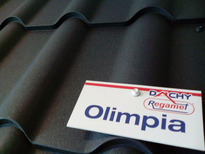 Blachodachówka , Blacha trapezowa , Rynny , Podbitka