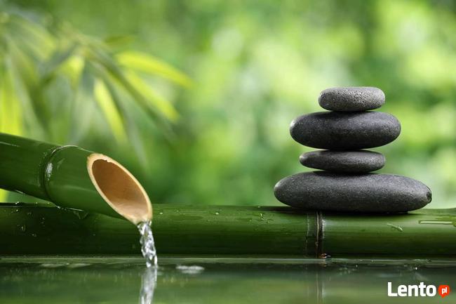 Zdrowe Cialo i Spokojny Umysł - Warszawa i Pruszków-zajęcia