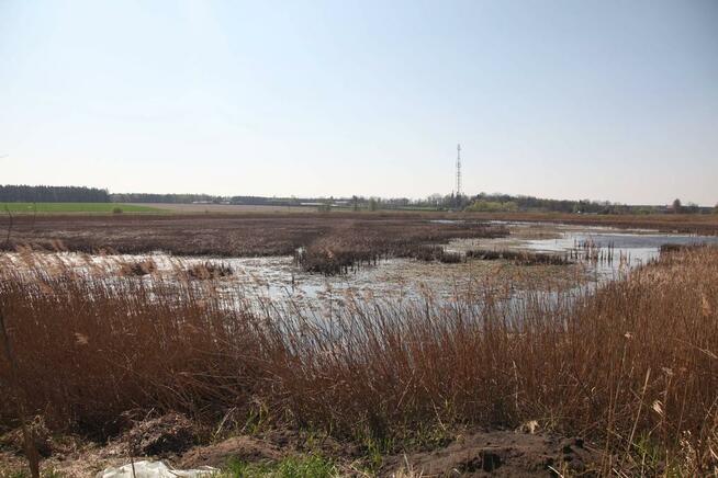 Wydzierżawię STAWY pod zarybienie, dla wędkarzy i rekreację