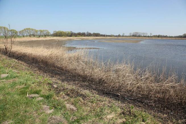 Wydzierżawię STAWY pod zarybienie, dla wędkarzy i rekreację