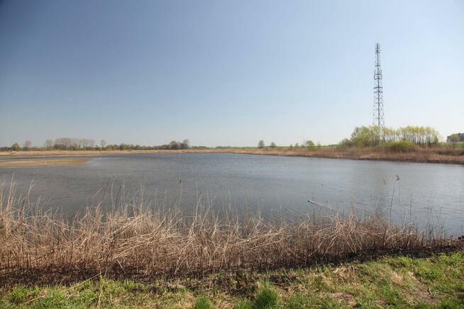 Wydzierżawię STAWY pod zarybienie, dla wędkarzy i rekreację