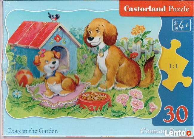 Dogs in the Garden