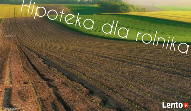 Pożyczki Pod Nieruchomości i Grunty Rolne