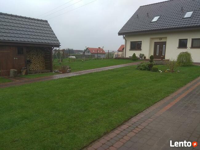 Trawniki Czarnoziem Olsztyn i okolice