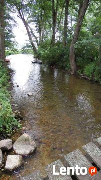 Pokoje do wynajęcia w uroczym Kiersztanowie!!!