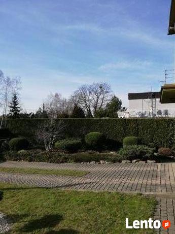 Pielęgnacja ogrodów-wycinka drzew