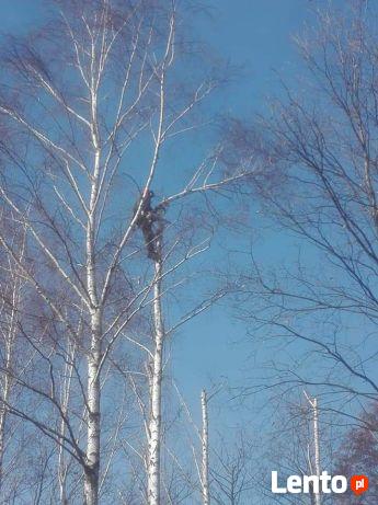 Pielęgnacja ogrodów-wycinka drzew