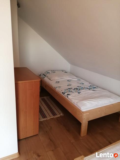 Usługi noclegowe pod świerkami