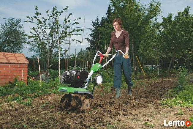 Usługa wypożyczenia glebogryzarki