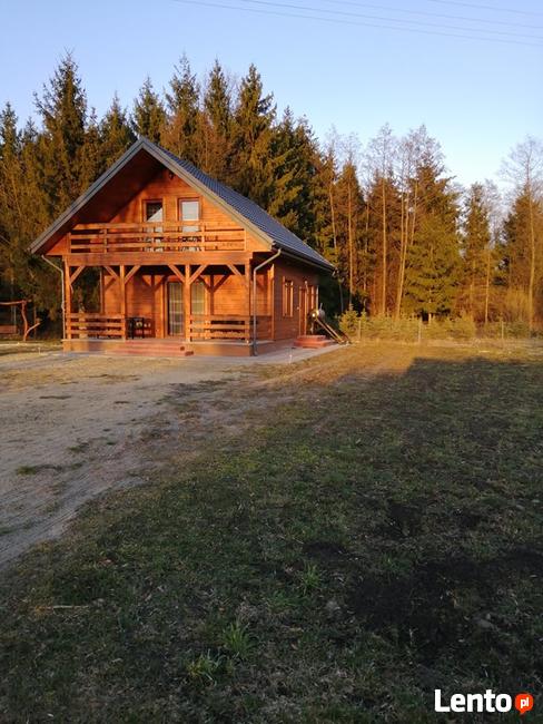 Usługi noclegowe pod świerkami