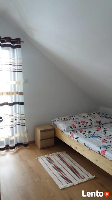 Usługi noclegowe pod świerkami