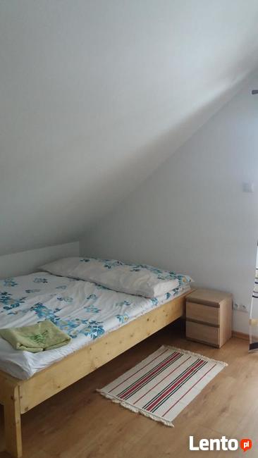 Usługi noclegowe pod świerkami