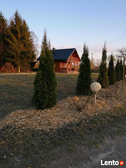 Usługi noclegowe pod świerkami