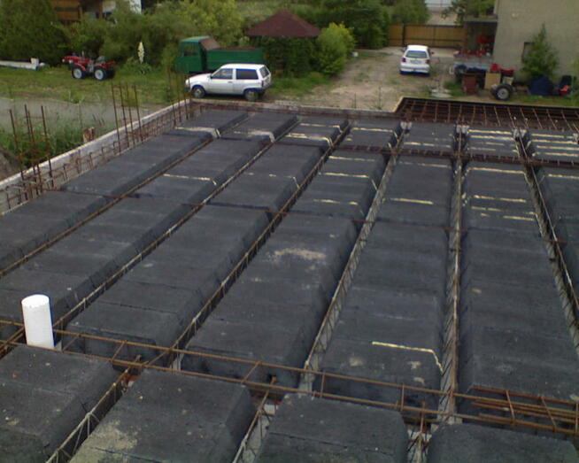 KIEROWNIK BUDOWY OSTRÓW WLKP. KONSTRUKCJE STALOWE, BOCAD 3D