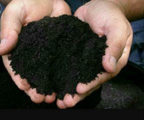 Ziemia ogrodowa rabaty