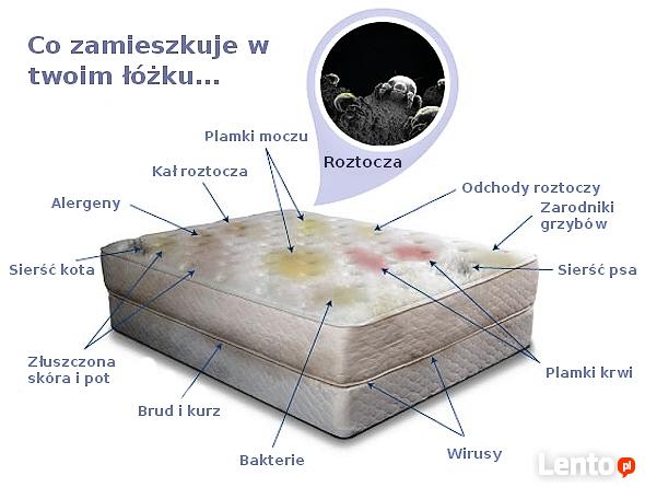 Pranie Kanap, Narożników, Foteli, Materacy w domu. Włocławek