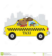 taxi - dog taxi dla Twojego Pieska najtaniej w Krakowie